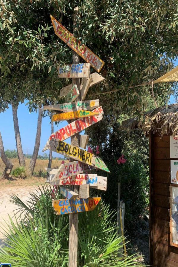 Glamping Agricampeggio Tognoni Camping *