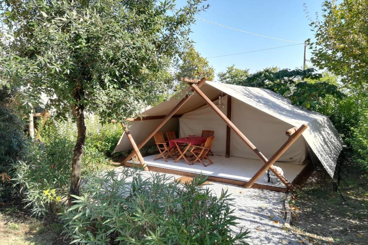 Camping Glamping Agricampeggio Tognoni La Sdriscia