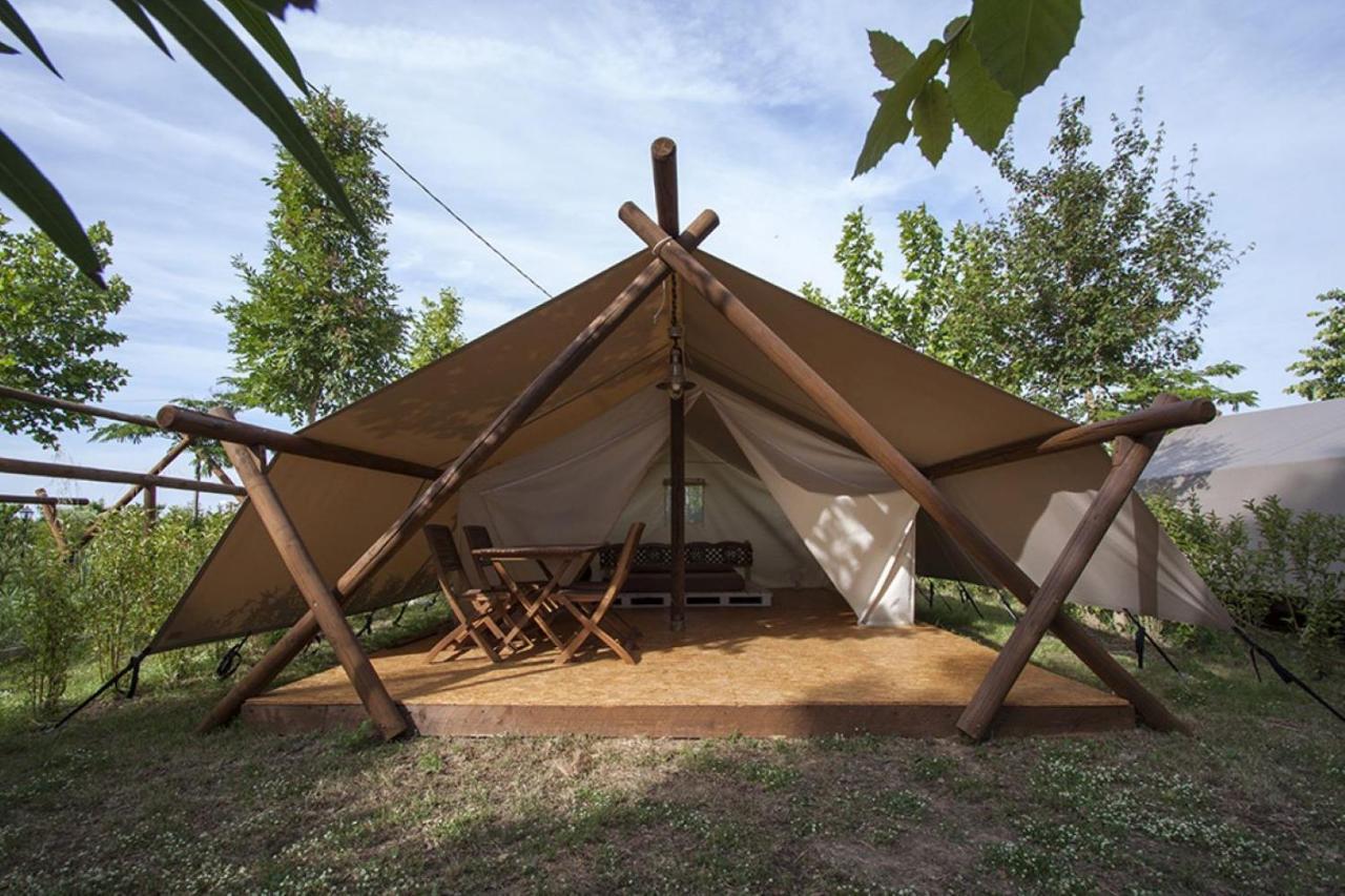 Glamping Agricampeggio Tognoni *