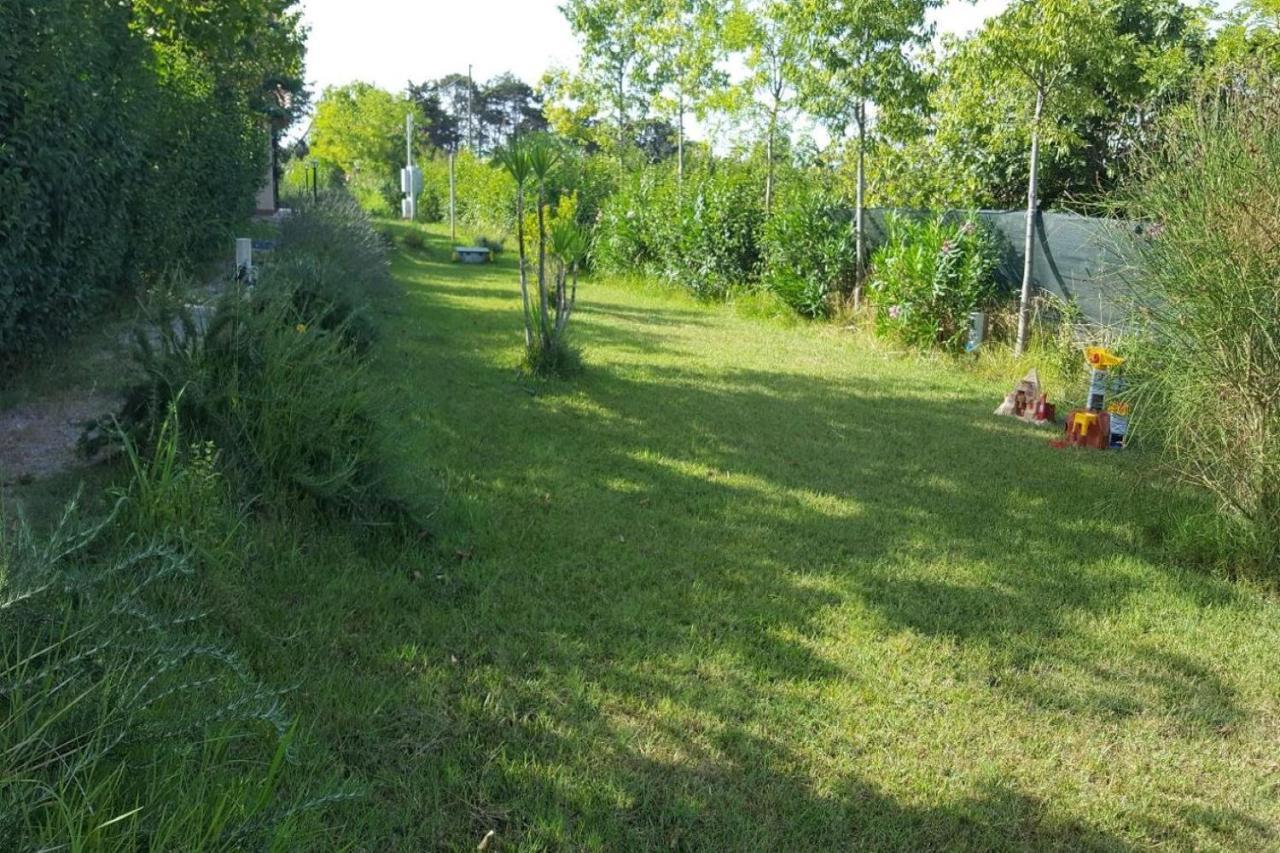 Glamping Agricampeggio Tognoni La Sdriscia