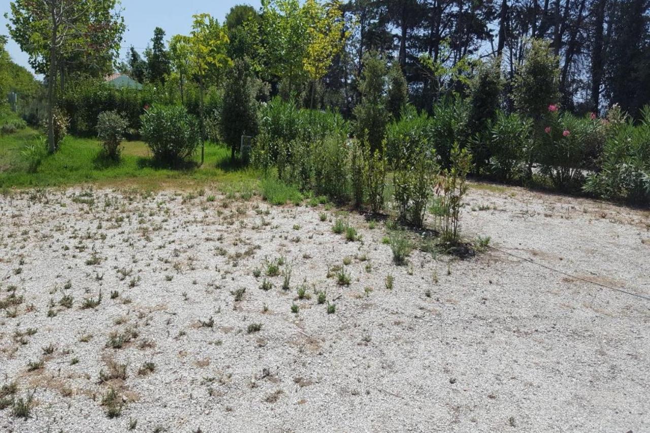 Glamping Agricampeggio Tognoni
