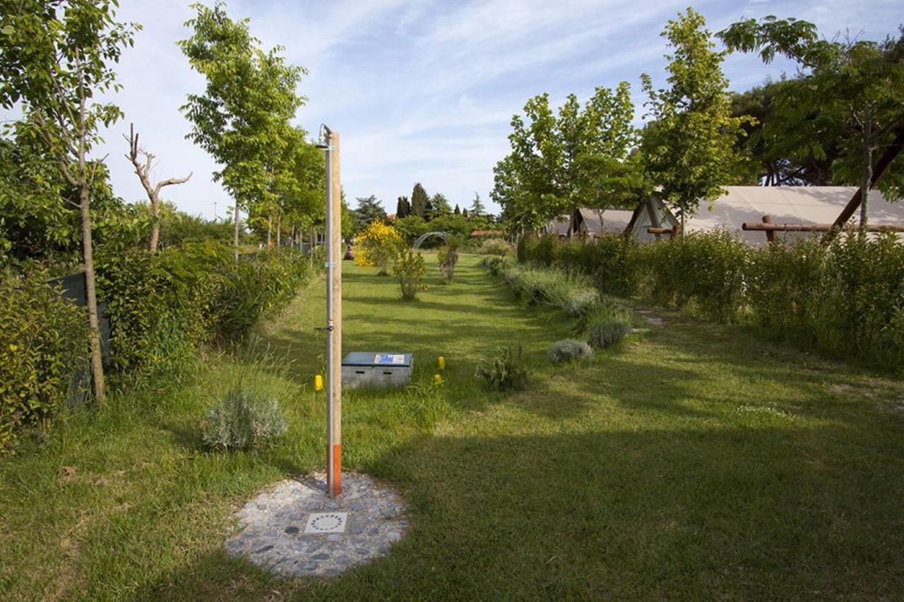 Camping Glamping Agricampeggio Tognoni La Sdriscia