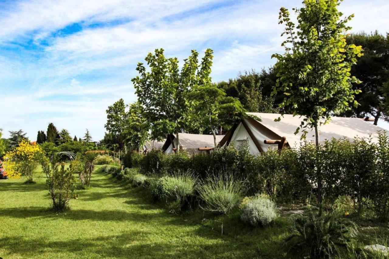 Camping Glamping Agricampeggio Tognoni