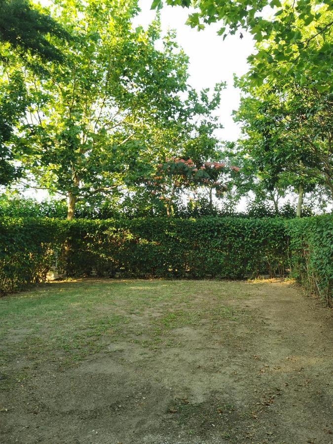 Glamping Agricampeggio Tognoni Camping La Sdriscia