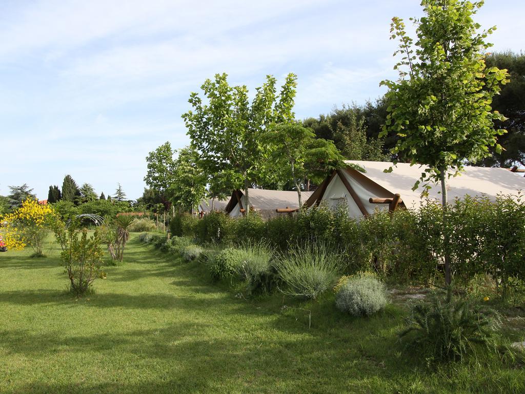 Glamping Agricampeggio Tognoni Camping