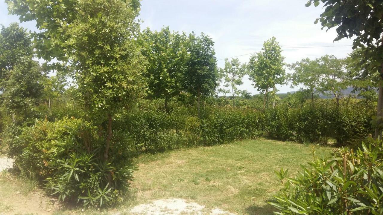 Glamping Agricampeggio Tognoni