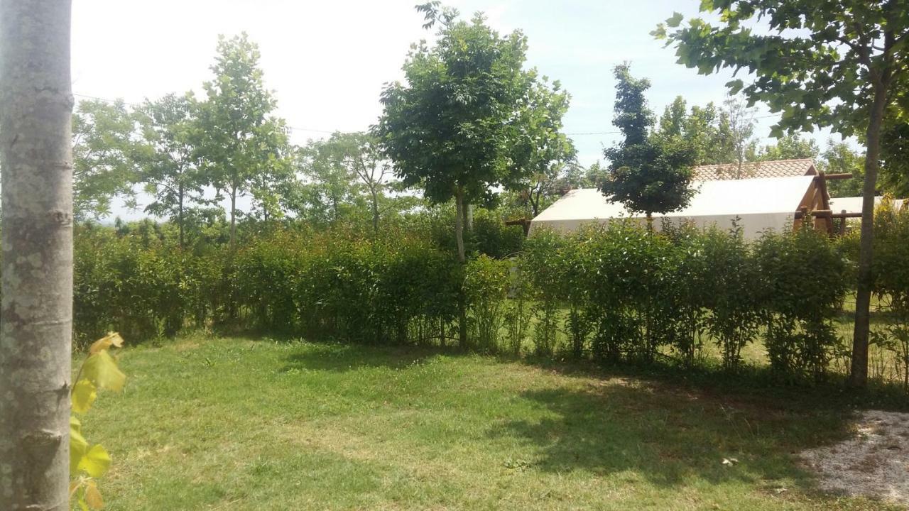 Glamping Agricampeggio Tognoni La Sdriscia