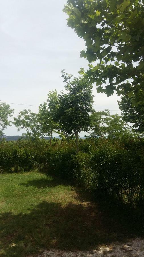 Glamping Agricampeggio Tognoni *