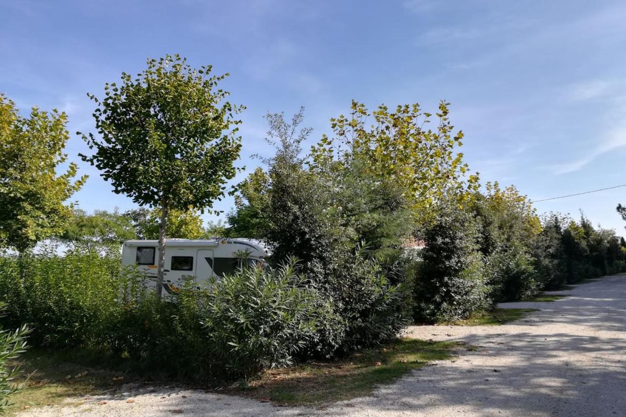 Glamping Agricampeggio Tognoni * La Sdriscia