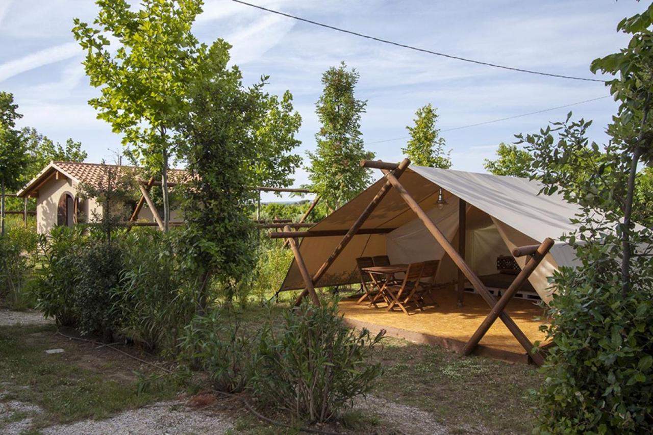 Glamping Agricampeggio Tognoni La Sdriscia