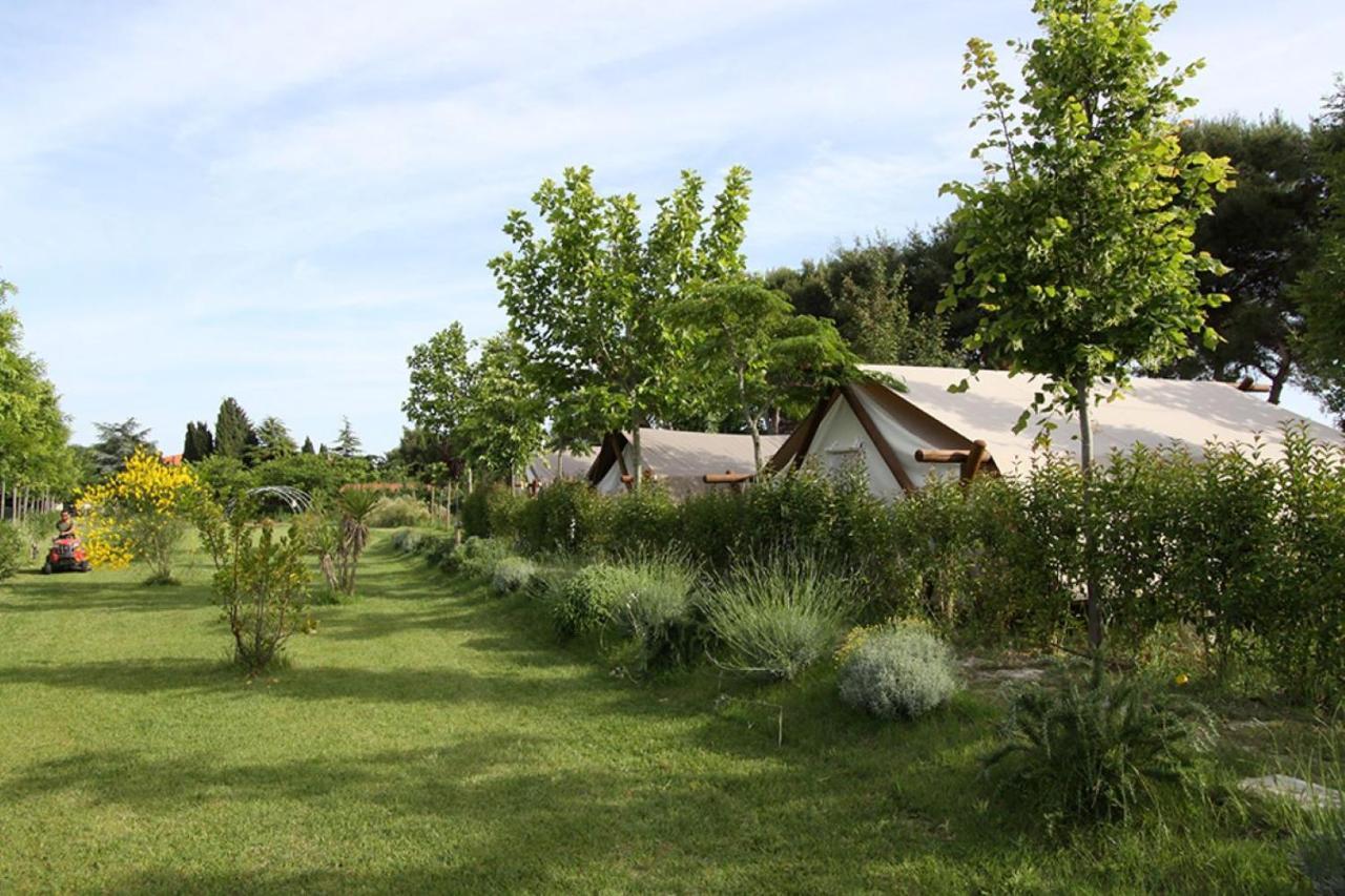 Glamping Agricampeggio Tognoni Campingplatz *