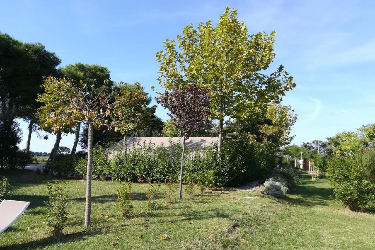 Campingplatz Glamping Agricampeggio Tognoni *