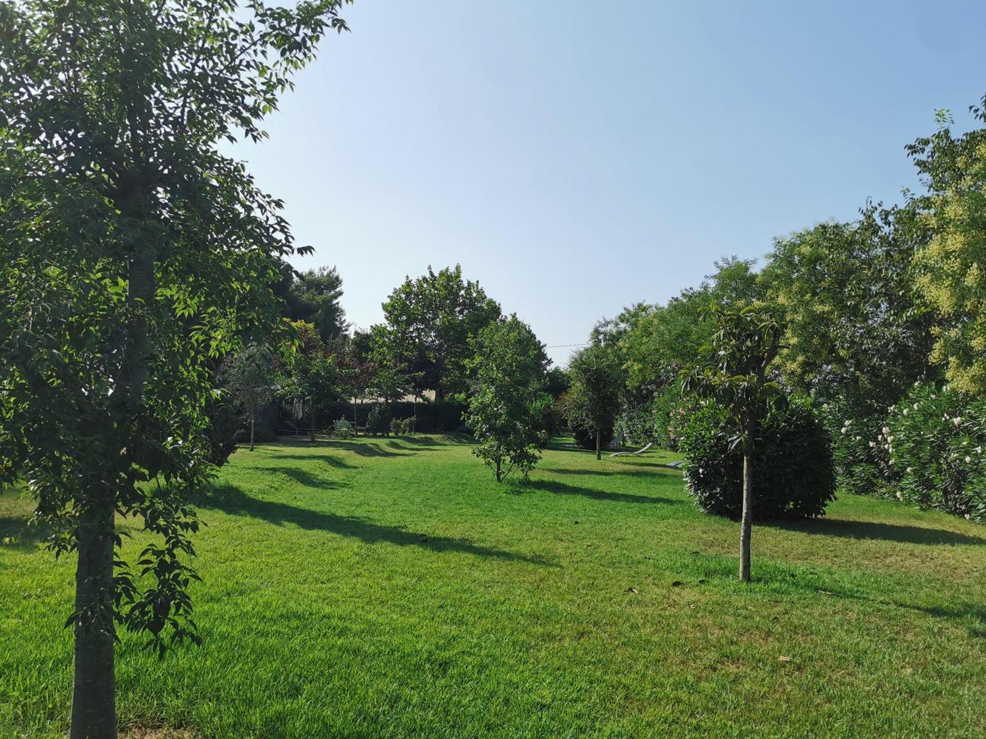 Glamping Agricampeggio Tognoni La Sdriscia